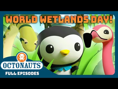 @Octonauts - 🌍 World Wetlands Day and The Hungry Hippos 🦛 | 30 Mins+ Full Episodes Marathon