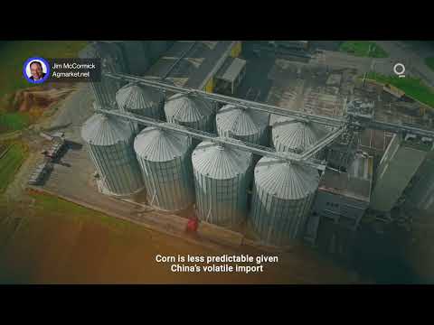Data, Not Deals, Will Drive US-China Grain Markets | Presented by CME Group