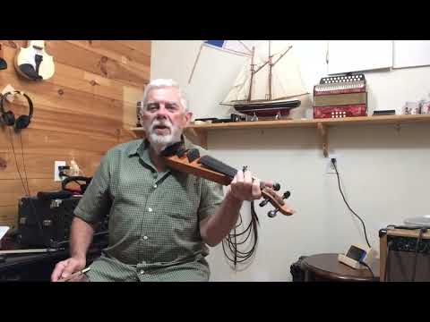 leigh -  pochette violin. image 9