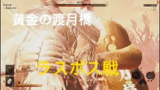 鬼武者 Way of the Sword　黄金の渡月橋　ラスボス戦　ネタバレ注意