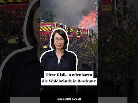 Video Thumbnail: Welche Gefahren bergen Waldbrände für die Wirtschaft?