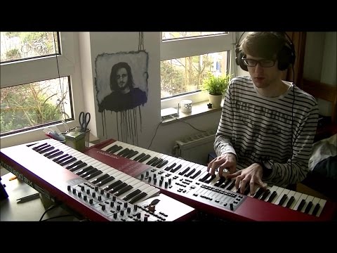 Steven Wilson - Deform To Form A Star (Cover)
