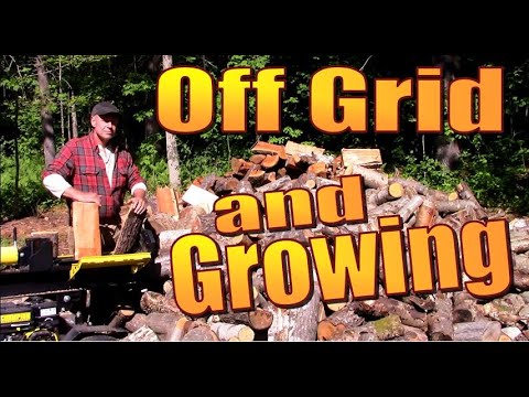 OFF GRID HOMESTEADING  The Solar Power, Chicken Coop and Woodshed Projects Have Begun