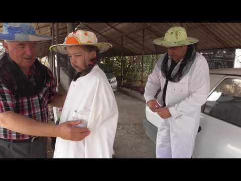 Gim impreuna cu fiul si nepotelele in vizita la stupina