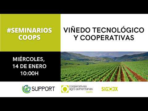Fotograma del vídeo: #SeminariosCoops: Viñedo tecnológico y cooperativas