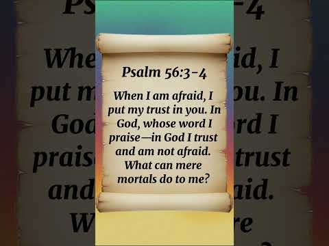 Psalm 56:3-4 When I am AFRAID, I put my TRUST  in you