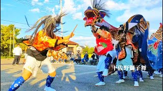 高岡 下佐野獅子舞 招待花 | 富山県高岡市 Lion Dance: Traditional Japanese Lion Dance in Shimosano #祭り