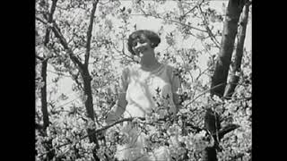 Hante. - Empty Space [Antipole | Paris Alexander remix]