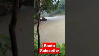 Download lagu Mancing saat hujan deras,ikan nya pada rakus #shorts #mancingmania #mancingsungai #baungbabon mp3