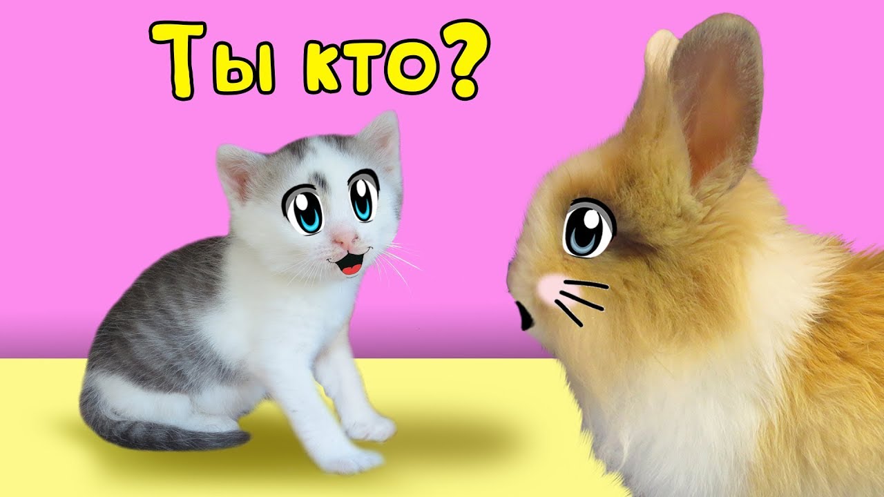 Картинку, анука давайка 4д открытка