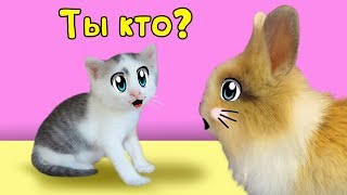 МАЛЮТКА КОТЕНОК и КРОЛИК БАФФИ знакомство ! КОТ МАЛЫШ и КОШЕЧКА МУРЗЯ или ЧУЖИХ ДЕТОК НЕ БЫВАЕТ