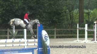 Video of Caveman Dh Z