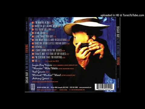 Sugar Ray & Bluetones - I Like What You Got