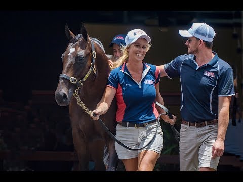 Magic Millions Gold Coast 2019