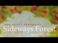 Sideways Forest (Quantum Remix) [with Lyrics]