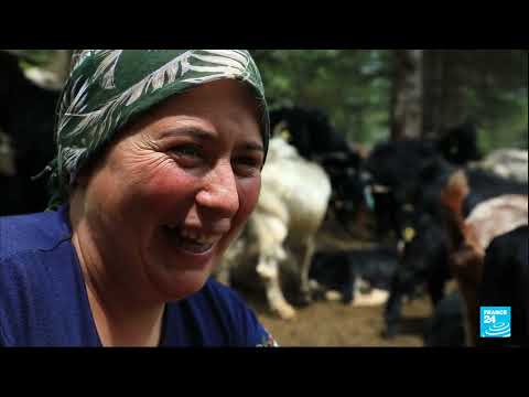 The last nomads of Anatolia: Yörük herders in Turkey struggle to keep traditions alive • FRANCE 24