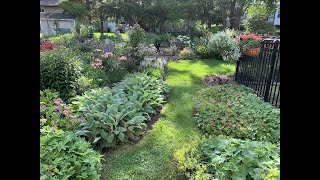 End of June 2024 Full Garden Tour