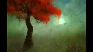 Grey ghost Mike Doghty