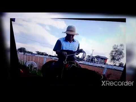 Lazeada en Paso Barreto