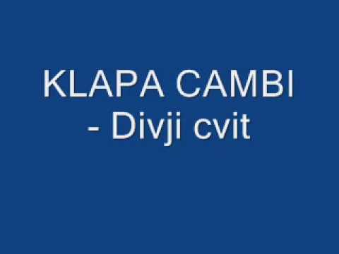 KLAPA CAMBI Divji cvit