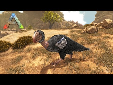 EM BUSCA DA AVE DO TERROR PERFEITA -  ARK LOST ISLAND