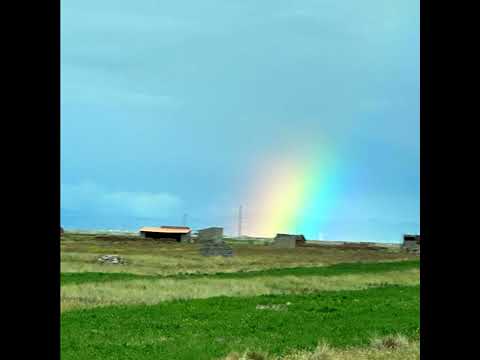  - 保護台灣大聯盟 - 政治文化新聞平台