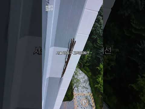 [현장의재구성] &#39;순살자이&#39; &#39;통뼈캐슬&#…