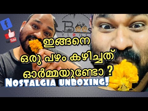 ഇങ്ങനെ ഒരു പഴം കഴിച്ചിട്ടുണ്ടോ?Nostalgia unboxing🥰|Wild Jack fruit |Kerala local fruits|LBeesvlogs