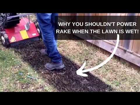download lagu mp3 mp4 Power Raking Lawn Winnipeg, download lagu Power Raking Lawn Winnipeg gratis, unduh video klip Power Raking Lawn Winnipeg