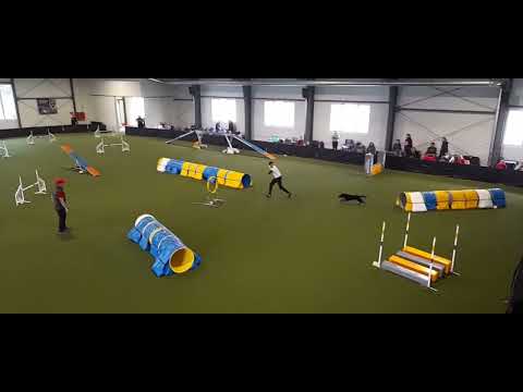 Easter Agility Cup,  A1