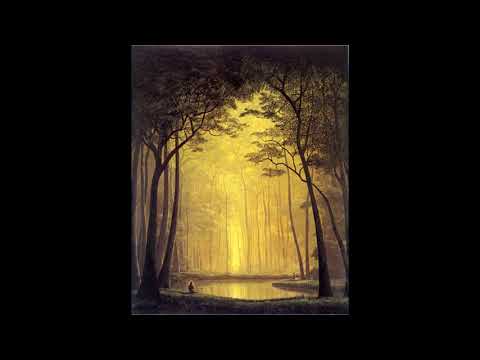 [Free] ICYTWAT X Ethereal X Divine Council type beat "Spiritual Nature" ambient/beat change/melodic