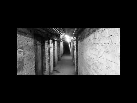 Kendi x Szydlo x Nores - NNP