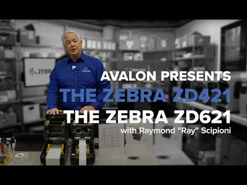 Zebra ZD421 label spausdintuvas Thermal transfer 203 x 203 DPI video