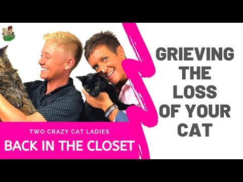 Grieving The Sudden Loss Of Your Cat | Two Crazy Cat Ladies