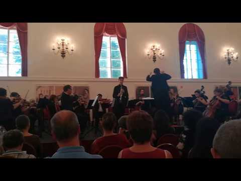 Ifjú tehetségek 2018 Berkó Domi