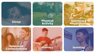 Introduction to 6 Pillars for Emotional Wellbeing: a Parent's Guide