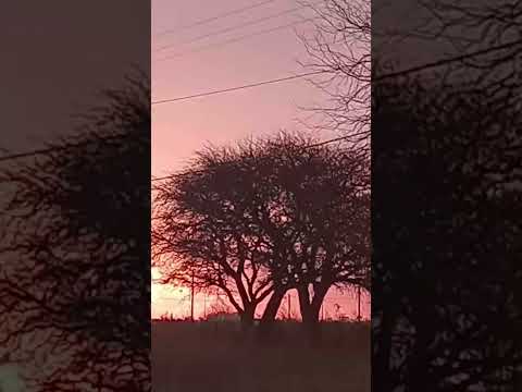 realico la pampa