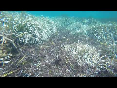 Porto Palo di Capo Passero - Luglio 2016