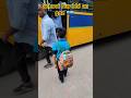 Uv Bhi Aaya Hai School Bus Leke Ytshorts Shorts Schoolbus Trending Heloschool Pickanddrop