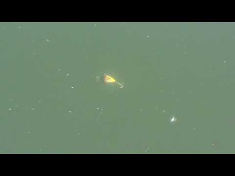 Воблер ROZEMEIJER BABY BOOM Slow Sinking - 4.5cm - 15g / 0.1 - 0.6m / Fire Tiger