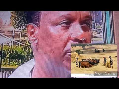 ጄጄ ካሳ jj Kasssa ሩም ታም nice Song