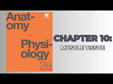OpenStax Anatomy and Physiology 2e (Audiobook) - Chapter 10: Muscle Tissue