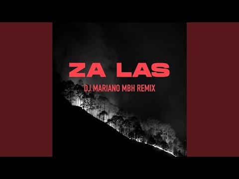 Za las (Remix)