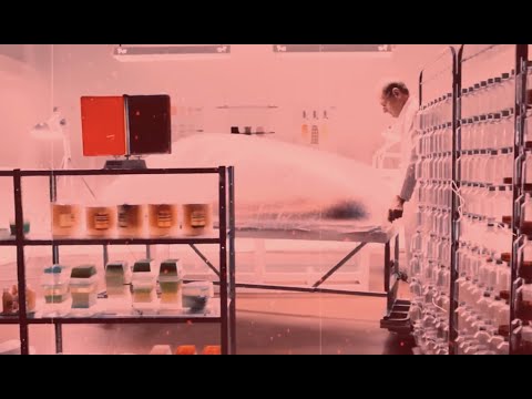 Snowgoons - Iceman ft Cymarshall Law (Video by Odd Vision) Black Snow 2.0 VINYL