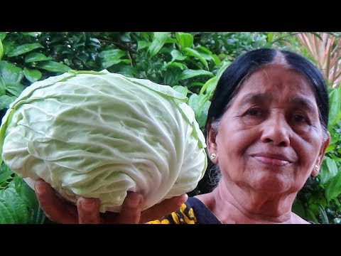 Pagbaba ng timbang hipnosis audio pakikinig i Mga review ng babol gam para sa pagbaba ng timbang forum