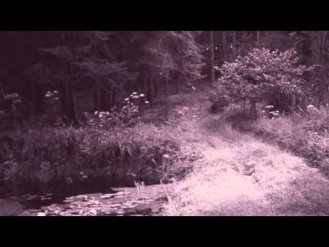 05 KK.NULL, Chris Watson & Z'EV - Conclusion [Touch]