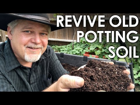 When Is It a Good Idea to Reuse Old Potting Soil?