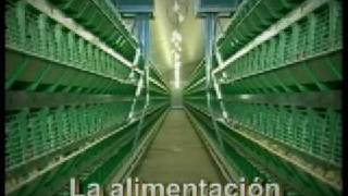 Imagen por defecto