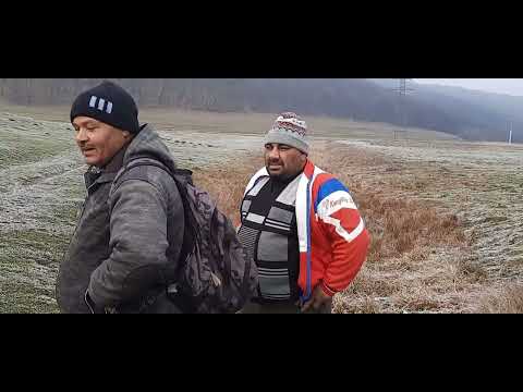 Baeți de la Veseuș!