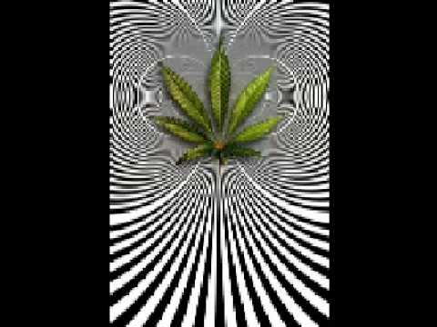 THC - X Marihuana